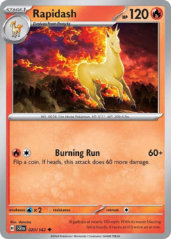 Rapidash - 20/142