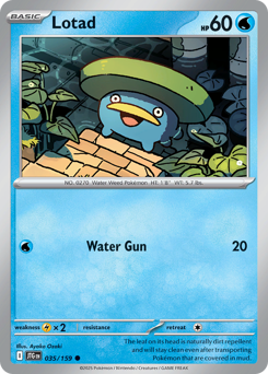 Lotad - 35/159