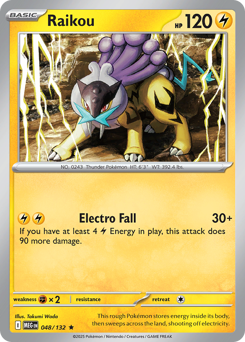 Raikou - 48/132
