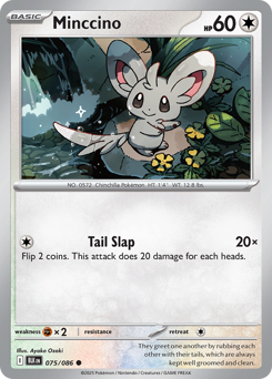 Minccino - 75/86