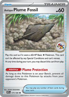 Antique Plume Fossil - 79/86