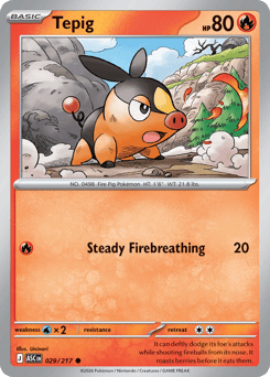 Tepig - 29/217